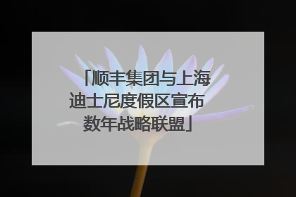 顺丰集团与上海迪士尼度假区宣布数年战略联盟