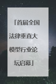 首届全国法律垂直大模型行业论坛启幕