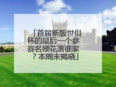 首届新版世俱杯的最后一个参赛名额花落谁家？本周末揭晓