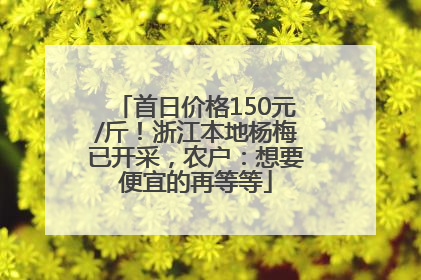 首日价格150元/斤！浙江本地杨梅已开采，农户：想要便宜的再等等