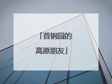 首钢园的高原朋友