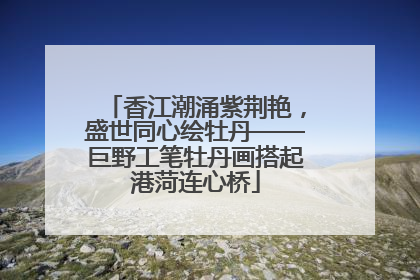 香江潮涌紫荆艳，盛世同心绘牡丹——巨野工笔牡丹画搭起港菏连心桥