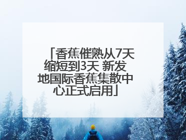 香蕉催熟从7天缩短到3天 新发地国际香蕉集散中心正式启用