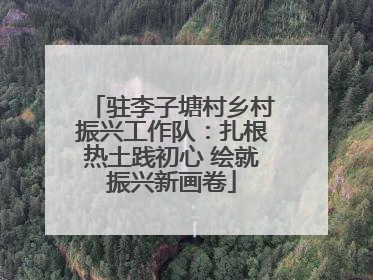 驻李子塘村乡村振兴工作队：扎根热土践初心 绘就振兴新画卷