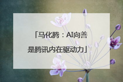 马化腾：AI向善是腾讯内在驱动力