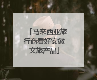 马来西亚旅行商看好安徽文旅产品