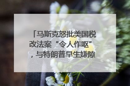 马斯克怒批美国税改法案“令人作呕”，与特朗普早生嫌隙？｜国际识局