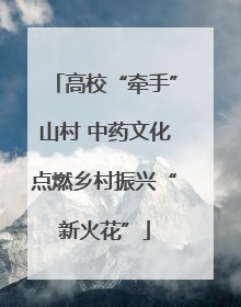 高校“牵手”山村 中药文化点燃乡村振兴“新火花”