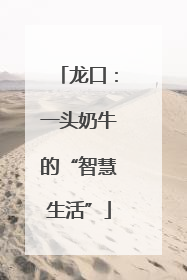 龙口：一头奶牛的“智慧生活”