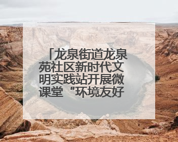 龙泉街道龙泉苑社区新时代文明实践站开展微课堂“环境友好社区”主题宣讲活动