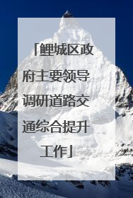鲤城区政府主要领导调研道路交通综合提升工作
