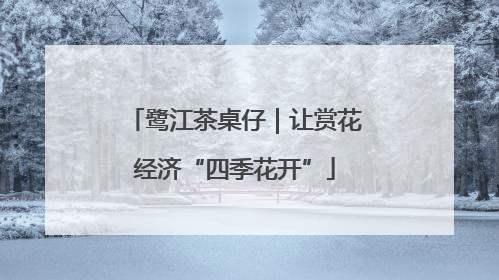 鹭江茶桌仔｜让赏花经济“四季花开”