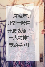 麻城审计赴烈士陵园开展弘扬“三大精神”专题学习