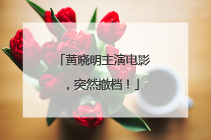 黄晓明主演电影，突然撤档！
