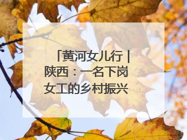 黄河女儿行｜陕西：一名下岗女工的乡村振兴“家政兵法”