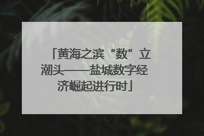 黄海之滨“数”立潮头——盐城数字经济崛起进行时