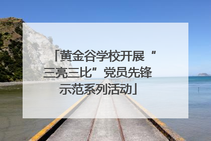 黄金谷学校开展“三亮三比”党员先锋示范系列活动