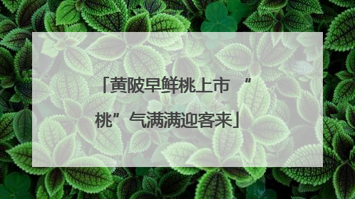 黄陂早鲜桃上市 “桃”气满满迎客来