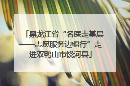 黑龙江省“名医走基层——志愿服务边疆行”走进双鸭山市饶河县