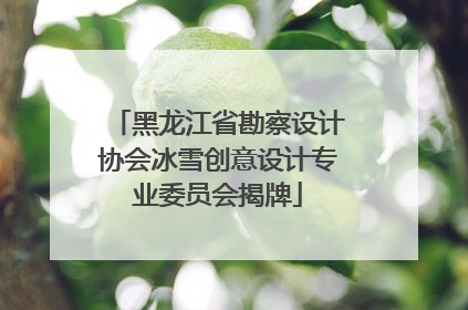 黑龙江省勘察设计协会冰雪创意设计专业委员会揭牌