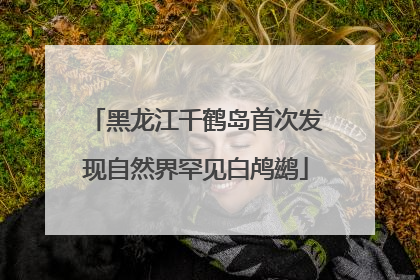 黑龙江千鹤岛首次发现自然界罕见白鸬鹚