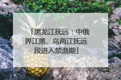 黑龙江抚远：中俄界江黑、乌两江抚远段进入禁渔期