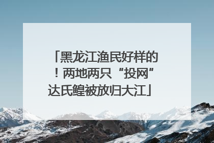 黑龙江渔民好样的！两地两只“投网”达氏鳇被放归大江