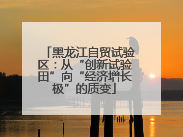 黑龙江自贸试验区：从“创新试验田”向“经济增长极”的质变
