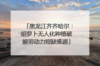 黑龙江齐齐哈尔：胡萝卜无人化种植破解劳动力短缺难题