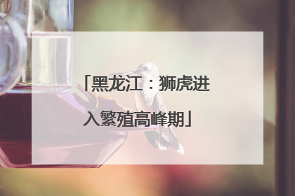 黑龙江：狮虎进入繁殖高峰期