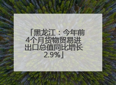 黑龙江：今年前4个月货物贸易进出口总值同比增长2.9%