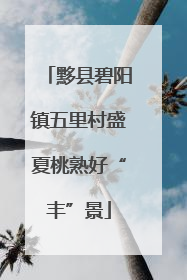 黟县碧阳镇五里村盛夏桃熟好“丰”景