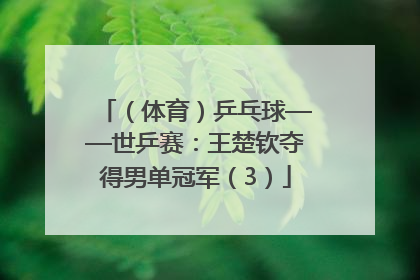 （体育）乒乓球——世乒赛：王楚钦夺得男单冠军（3）