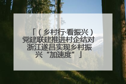 （乡村行·看振兴）党建联建推进村企结对 浙江遂昌实现乡村振兴“加速度”
