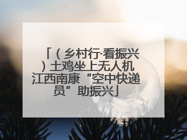 （乡村行·看振兴）土鸡坐上无人机 江西南康“空中快递员”助振兴