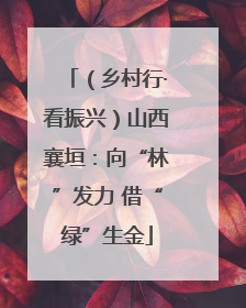 （乡村行·看振兴）山西襄垣：向“林”发力 借“绿”生金
