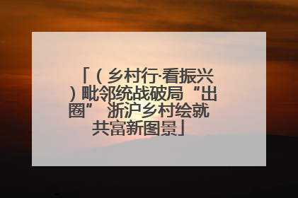 （乡村行·看振兴）毗邻统战破局“出圈” 浙沪乡村绘就共富新图景