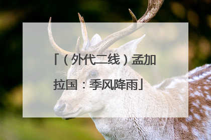 （外代二线）孟加拉国：季风降雨