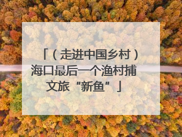 （走进中国乡村）海口最后一个渔村捕文旅“新鱼”