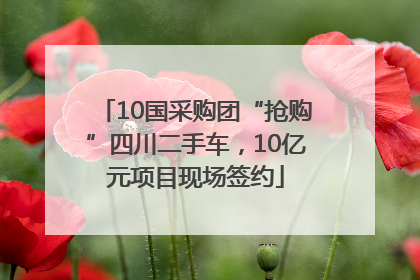 10国采购团“抢购”四川二手车，10亿元项目现场签约