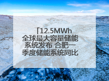 12.5MWh全球最大容量储能系统发布 合肥一季度储能系统同比增长425%