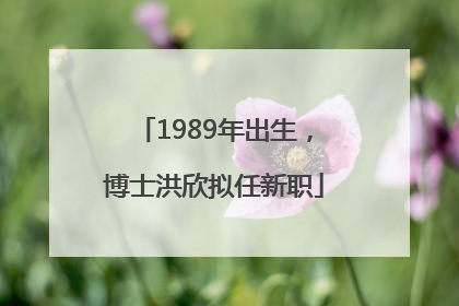 1989年出生，博士洪欣拟任新职