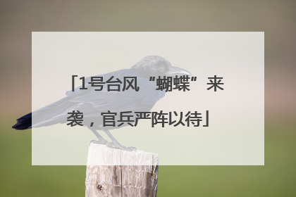 1号台风“蝴蝶”来袭，官兵严阵以待