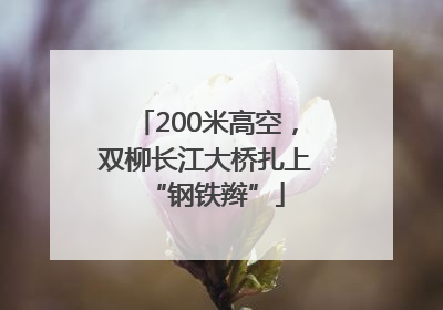 200米高空，双柳长江大桥扎上“钢铁辫”