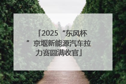 2025“东风杯”京堰新能源汽车拉力赛圆满收官