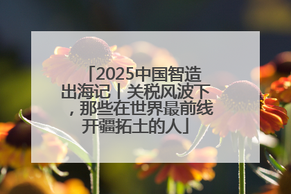 2025中国智造出海记丨关税风波下，那些在世界最前线开疆拓土的人