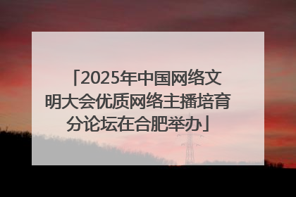 2025年中国网络文明大会优质网络主播培育分论坛在合肥举办