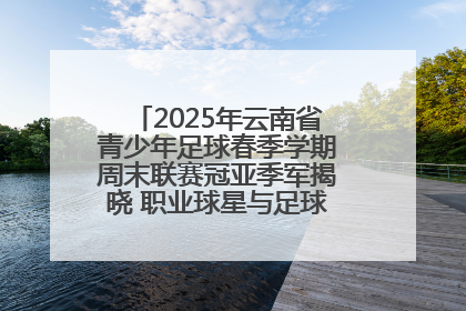 2025年云南省青少年足球春季学期周末联赛冠亚季军揭晓 职业球星与足球小将共享荣耀时刻