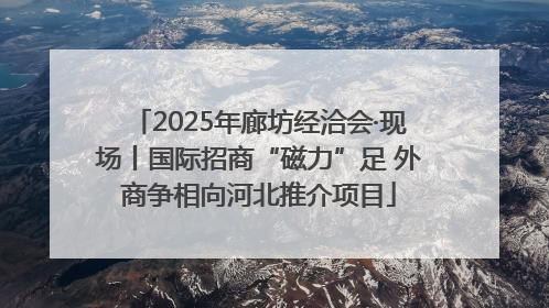 2025年廊坊经洽会·现场丨国际招商“磁力”足 外商争相向河北推介项目