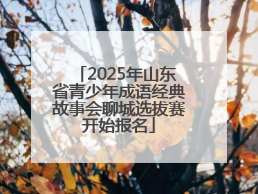 2025年山东省青少年成语经典故事会聊城选拔赛开始报名